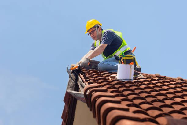 Best Gutter Installation and Repair  in Monahans, TX